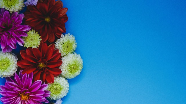 的巨星之一 的巨星之一