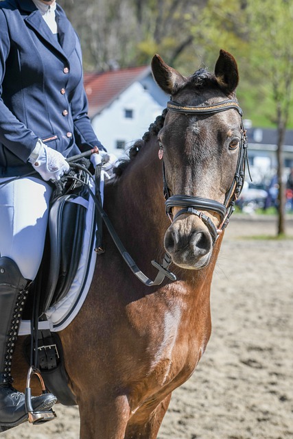 不可预测 不可预测