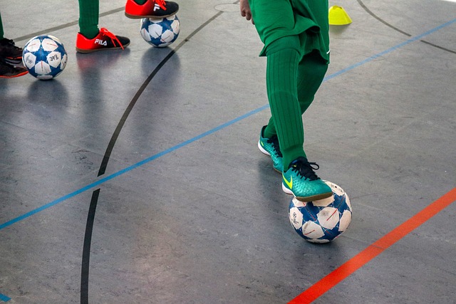 费耶诺德的 费耶诺德的