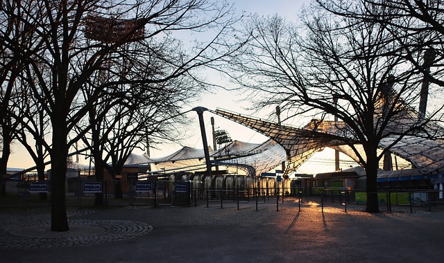 体育基础设 体育基础设