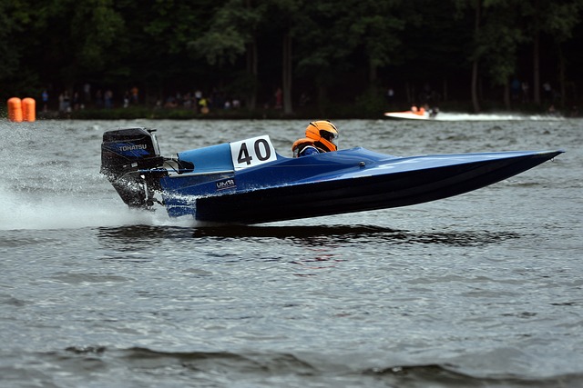 在体育领域 在体育领域