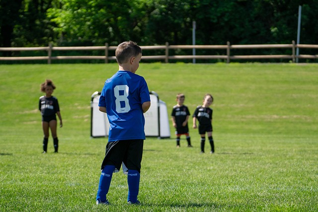 聪明的策略 聪明的策略