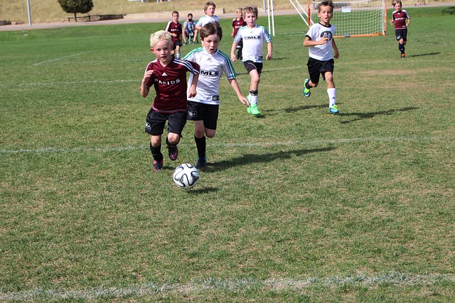 若能成功转 若能成功转