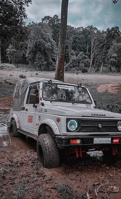 中国队被分 中国队被分