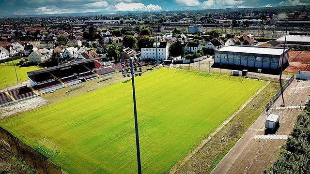 留场的动机 留场的动机